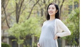 王芳怀孕爆料事件视频,真相与猜测交织